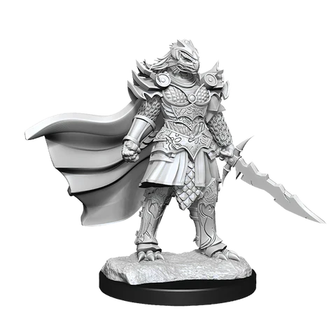 D&D Miniatures